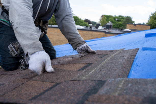 Professional Roofing services in Knightdale, NC
